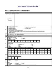 snb singapore|snb registration renewal.